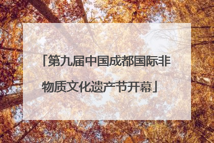 第九届中国成都国际非物质文化遗产节开幕